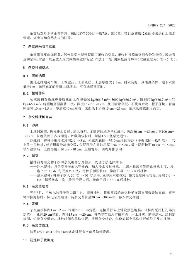 T/SDYY 237-2025 标准预览