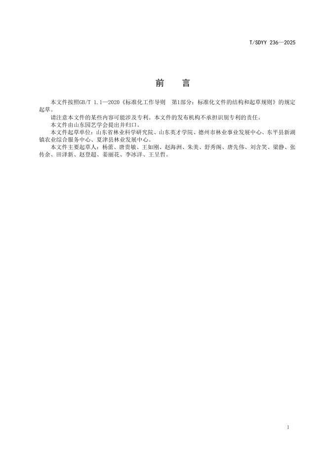 T/SDYY 236-2025 标准预览
