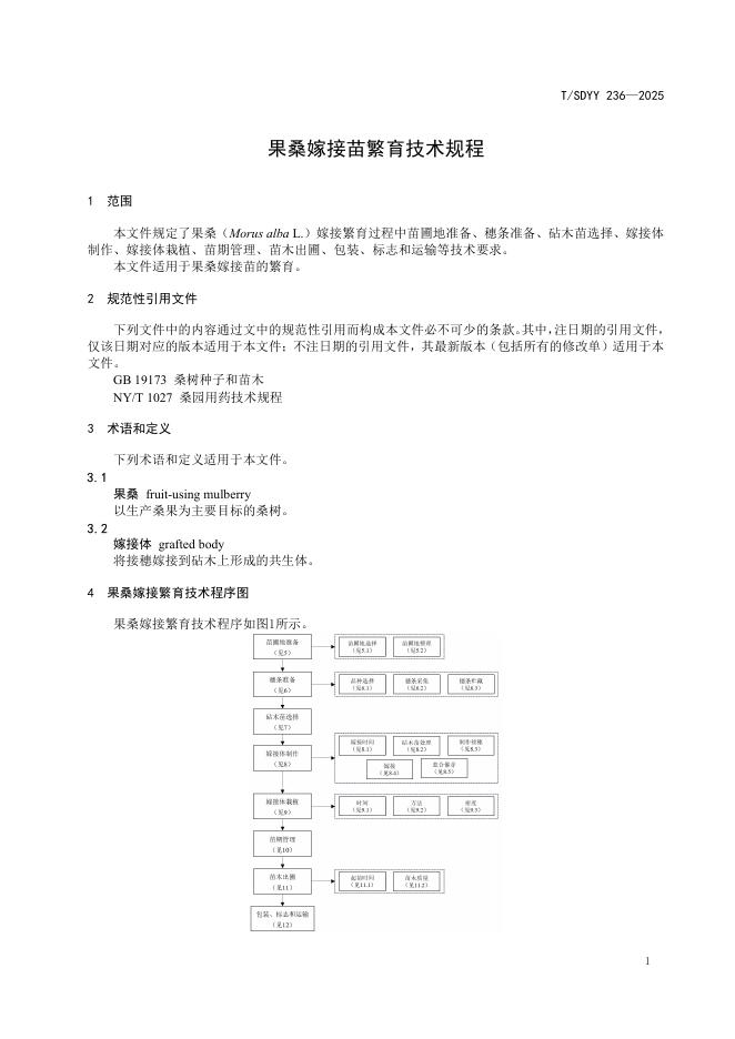 T/SDYY 236-2025 标准预览