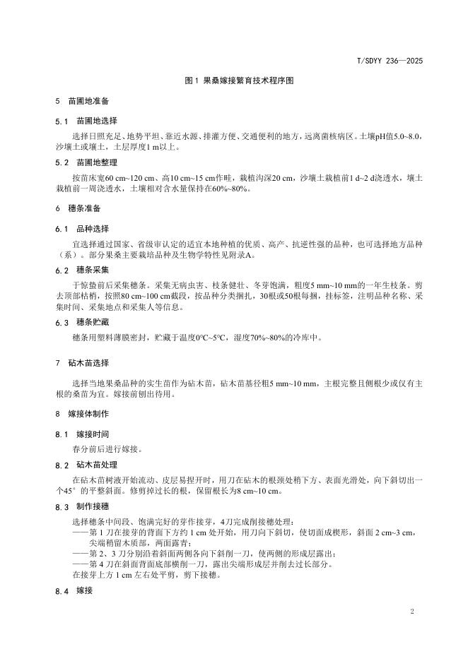 T/SDYY 236-2025 标准预览