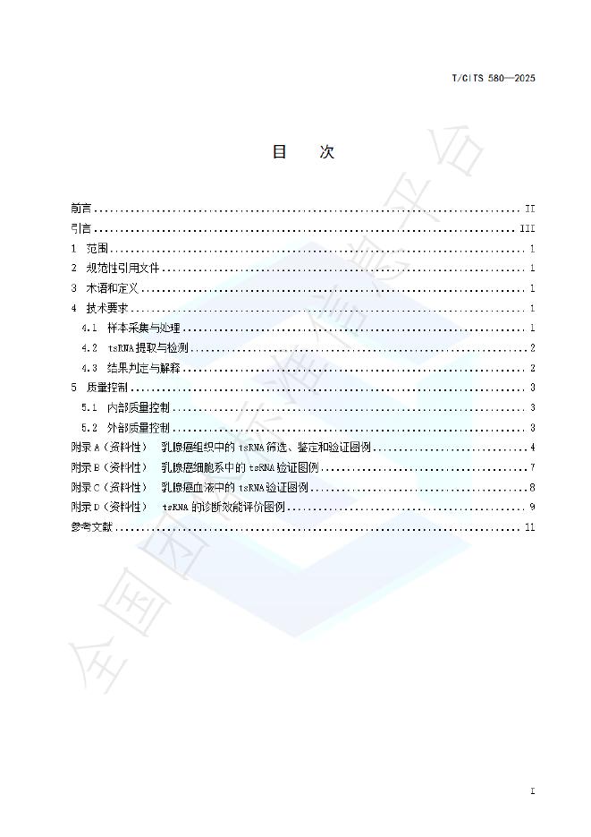 T/CITS 580-2025 标准预览