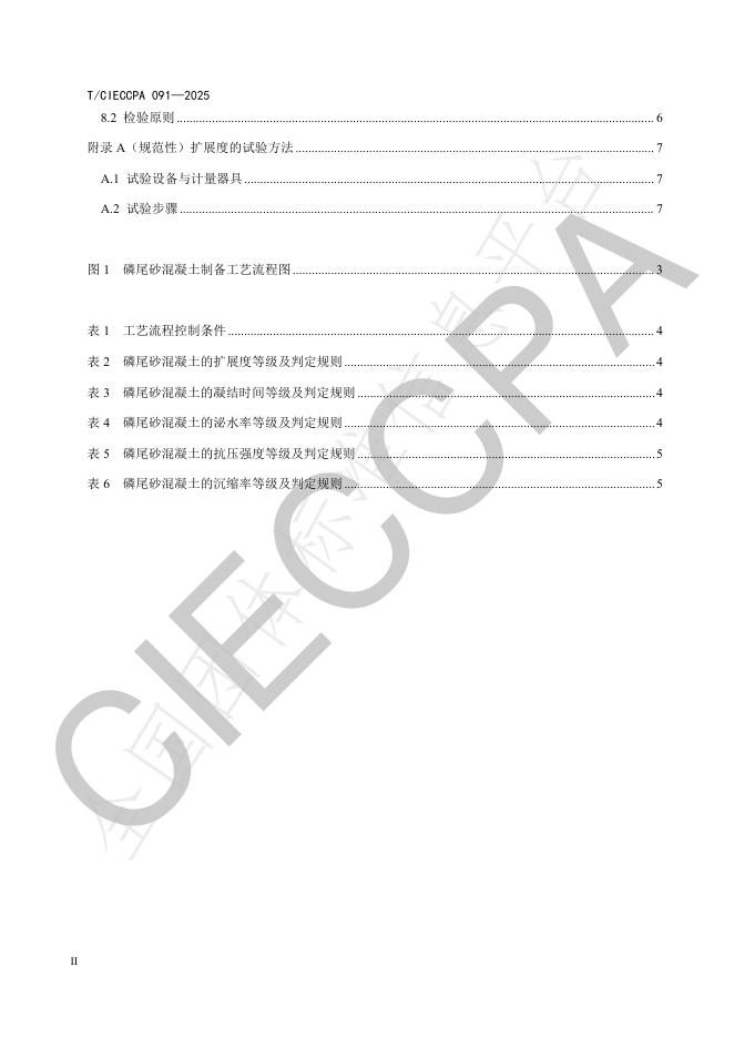 T/CIECCPA 091-2025 标准预览