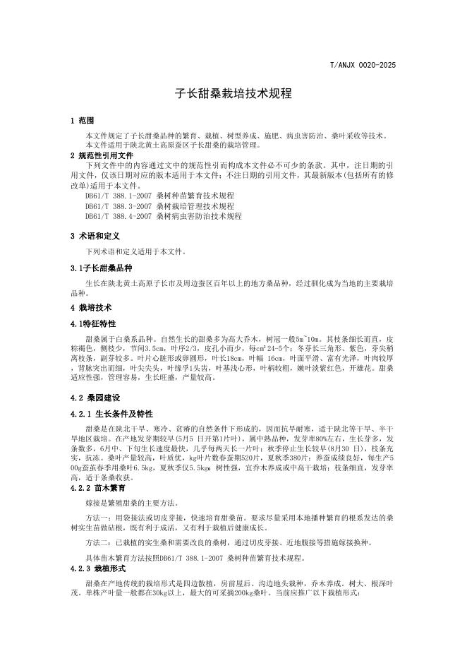 T/ANJX 0020-2025 标准预览