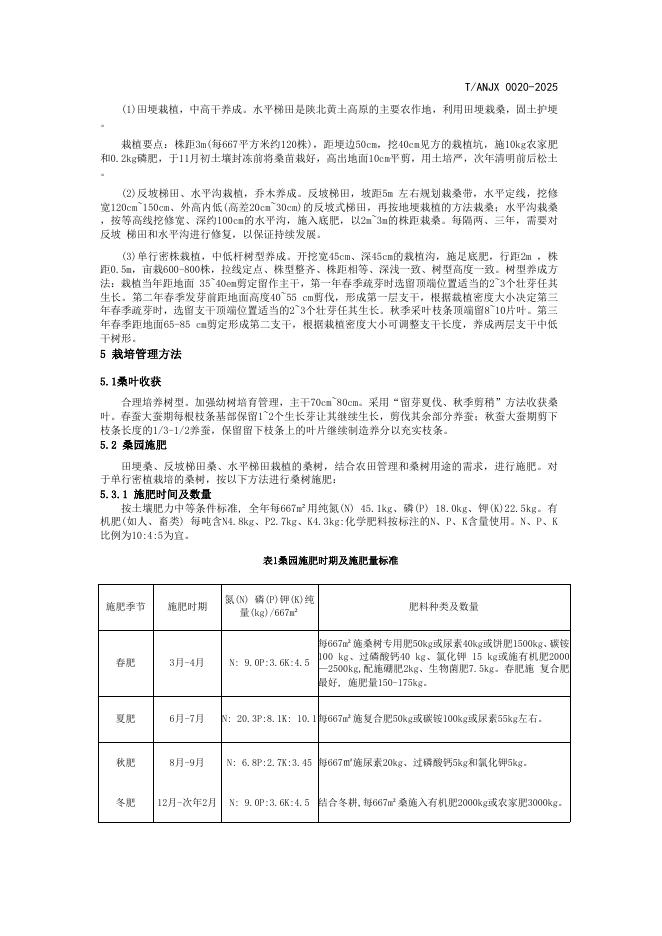 T/ANJX 0020-2025 标准预览
