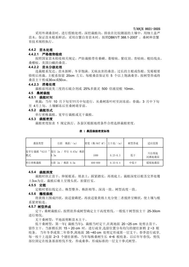 T/ANJX 0021-2025 标准预览
