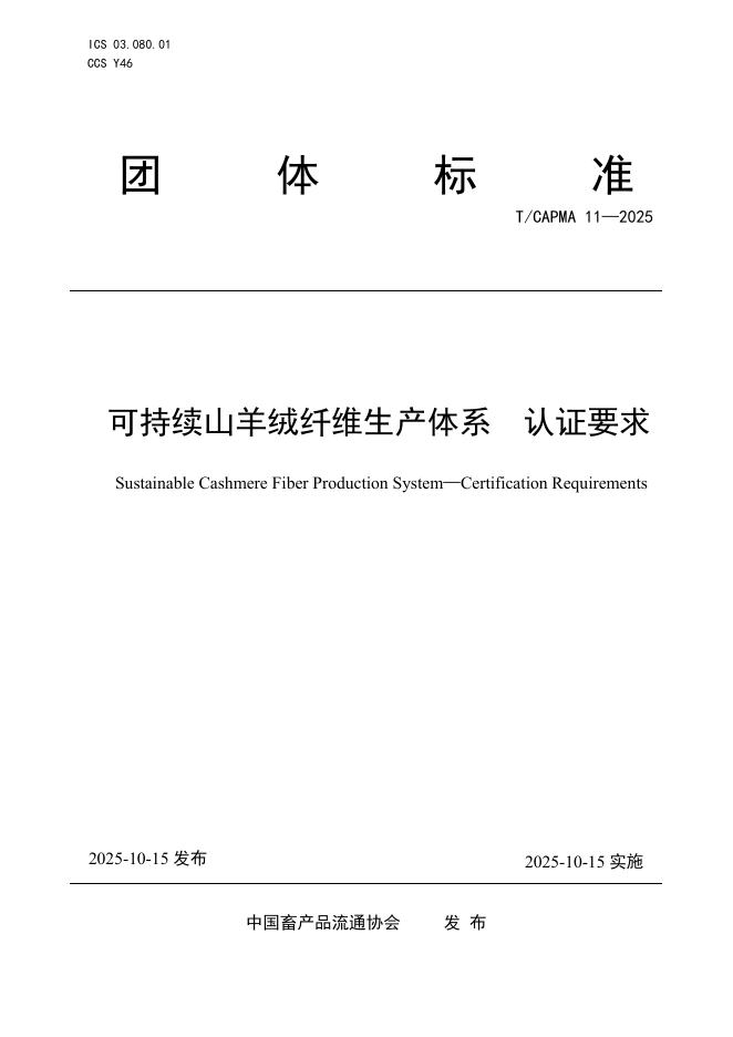 T/CAPMA 11-2025 标准预览