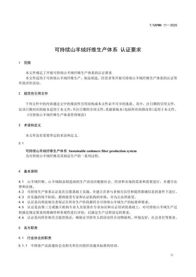 T/CAPMA 11-2025 标准预览