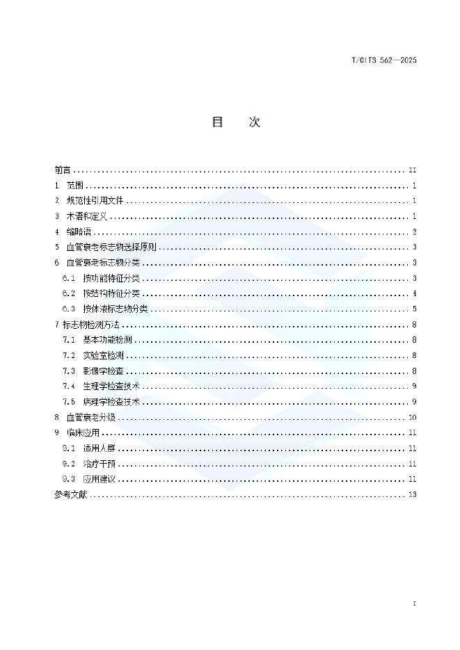 T/CITS 562-2025 标准预览