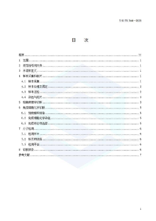 T/CITS 564-2025 标准预览