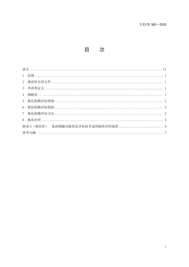 T/CITS 582-2025 标准预览