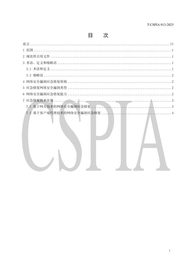 T/CSPIA 013-2025 标准预览