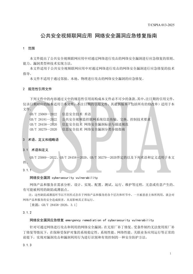 T/CSPIA 013-2025 标准预览