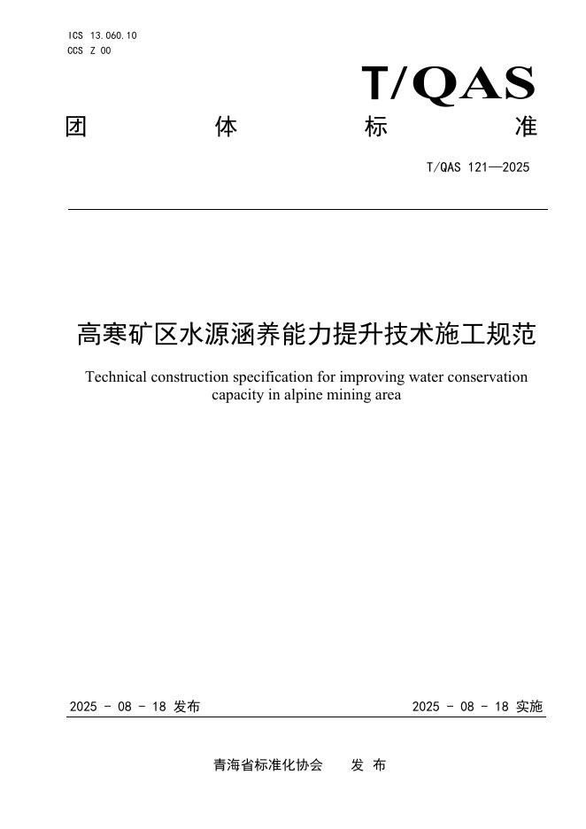 T/QAS 121-2025 标准预览
