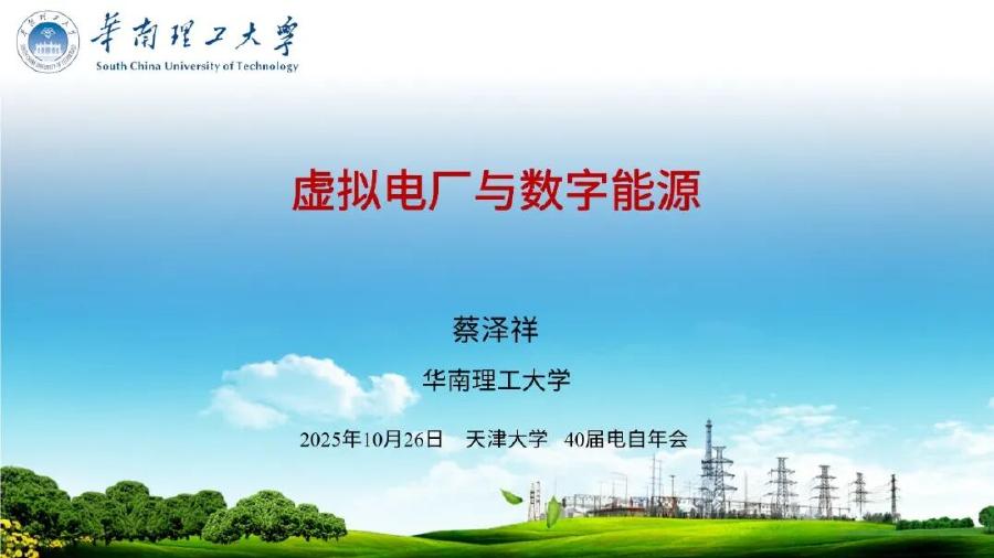 华南理工大学（蔡泽祥）：2025年虚拟电厂与数字能源报告海报