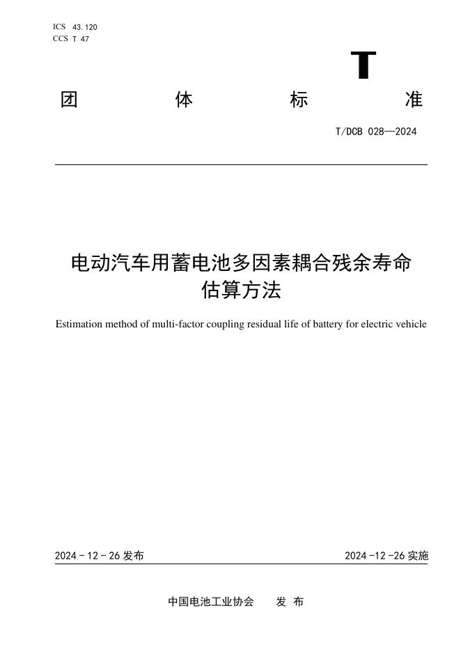 T/DCB 028-2024 标准预览