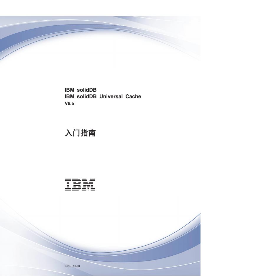 IBM solidDB IBM solidDB Universal Cache V6.5 <em>入门</em>指南 海报