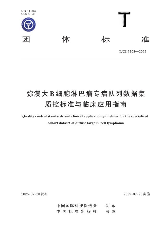 T/CI 1108-2025 document cover
