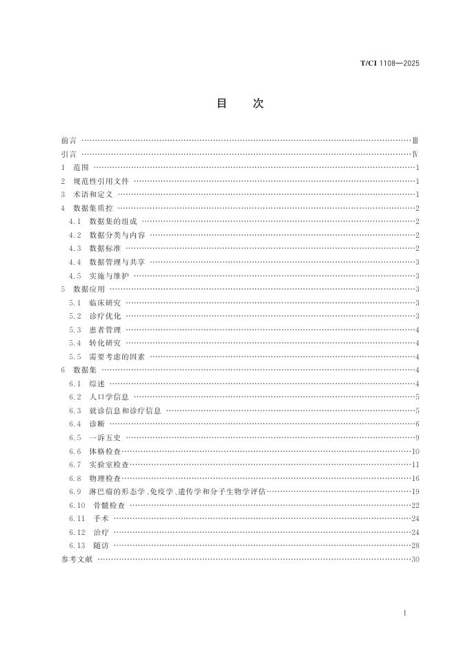 T/CI 1108-2025 标准预览