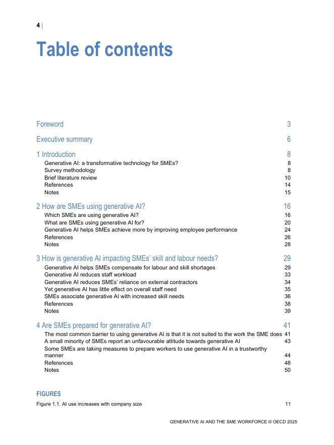 OECD经合组织：2025年生成式人工智能与中小企业劳动力研究报告（英文版）_第6页