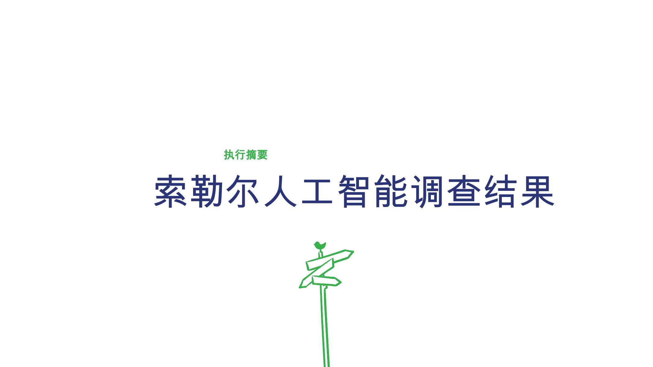 sollers：2025年索勒斯人工智能行业报告_第10页
