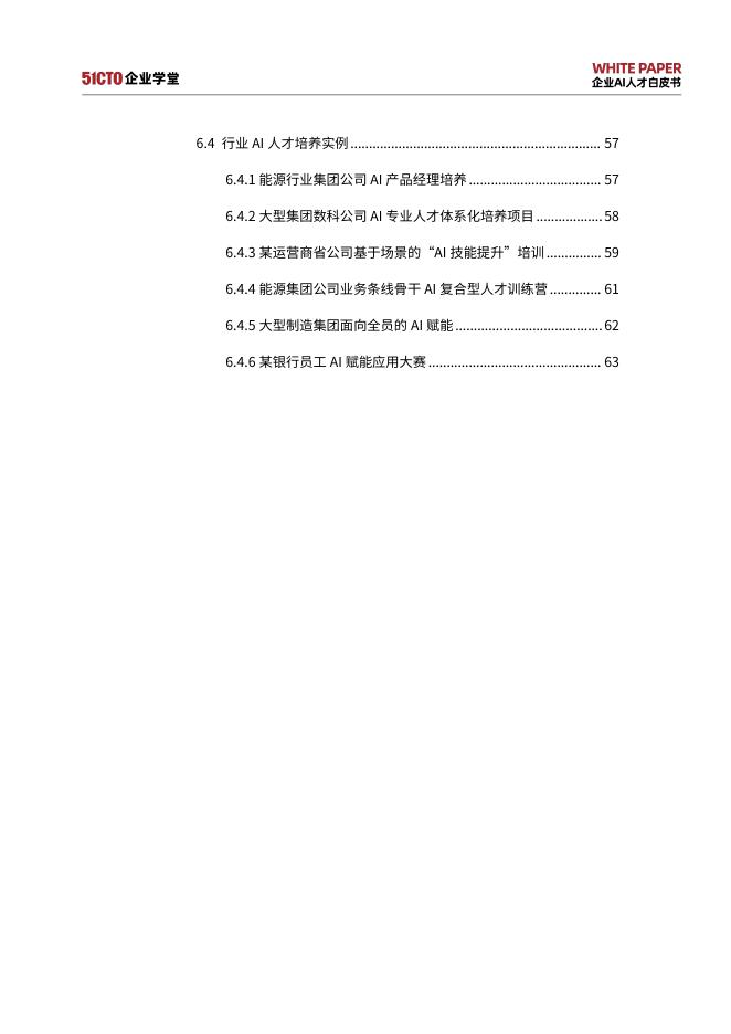 51CTO：企业AI人才白皮书（2025-2027）——挑战、战略与实践_第6页
