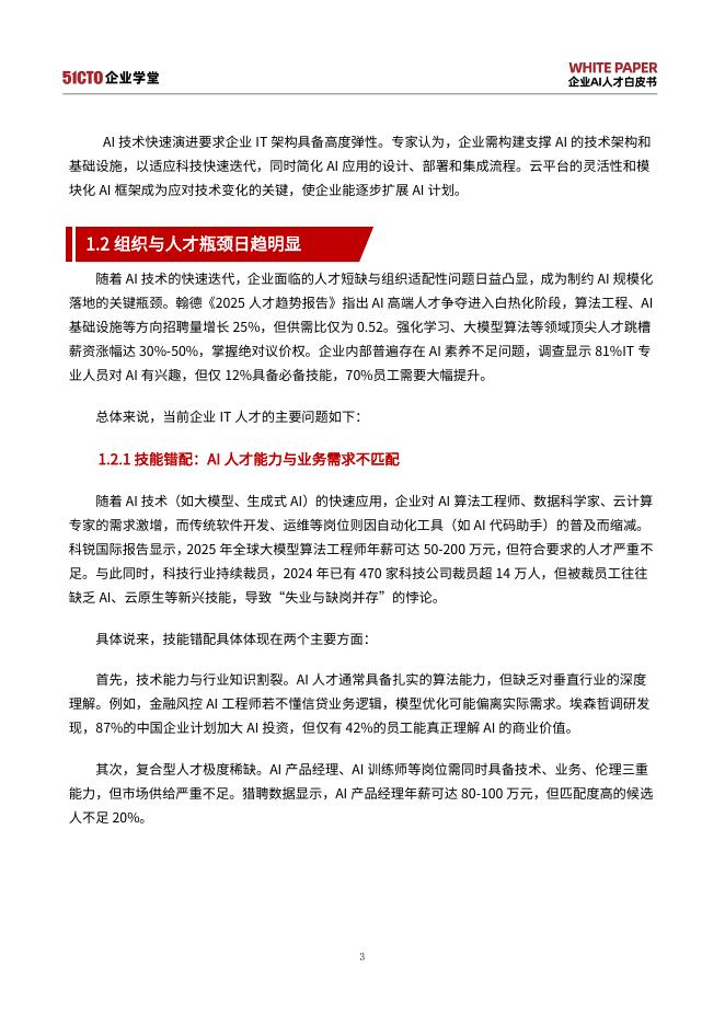 51CTO：企业AI人才白皮书（2025-2027）——挑战、战略与实践_第10页