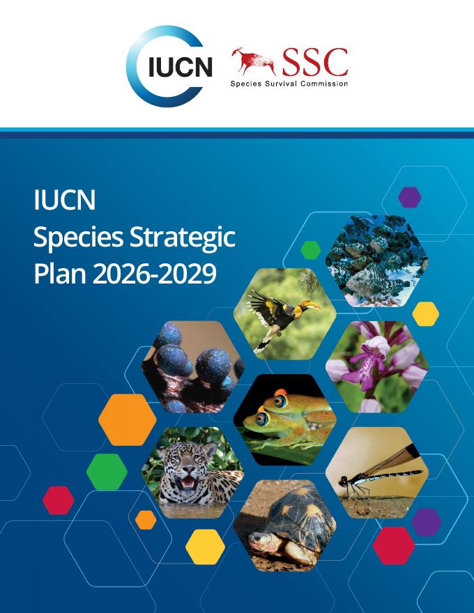 世界自然保护联盟IUCN：2026-2029年物种战略计划报告（英文版）