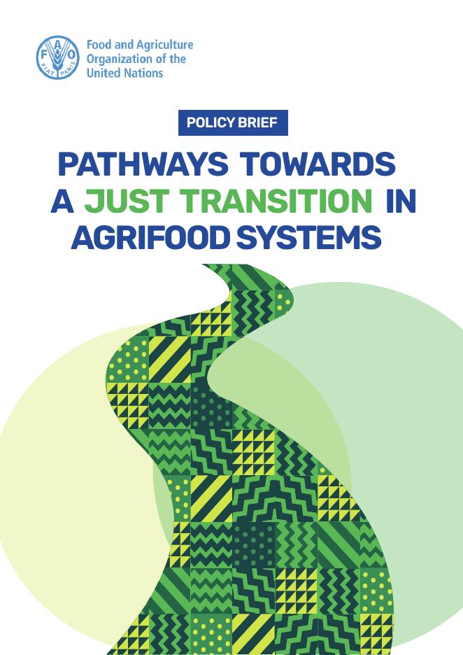 FAO联合国粮农组织：2025年实现农业食品系统公正过渡的途径报告（英文版）海报