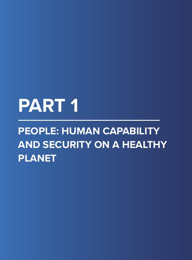 联合国开发计划署UNDP：2025年下一次大分流：为何人工智能可能加剧国别间的不平等报告（英文版）_第8页