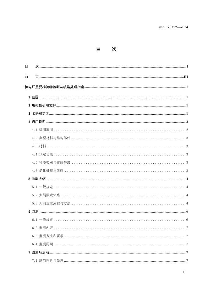 NB/T 20719-2024 标准预览