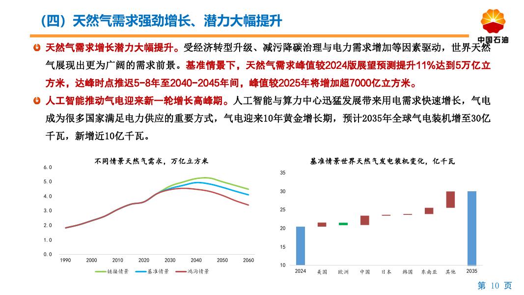 中国石油：2060年世界与中国能源展望报告（2025版）_第10页