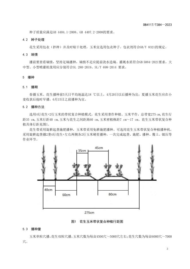 DB4117/T 384-2023 标准预览