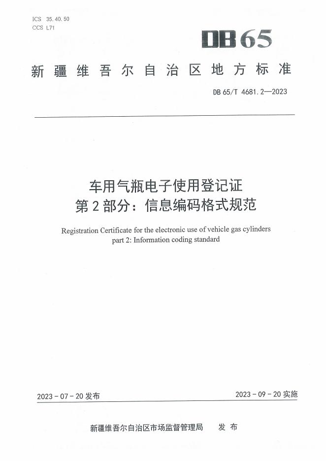 DB65/T 4681.2-2023 标准预览