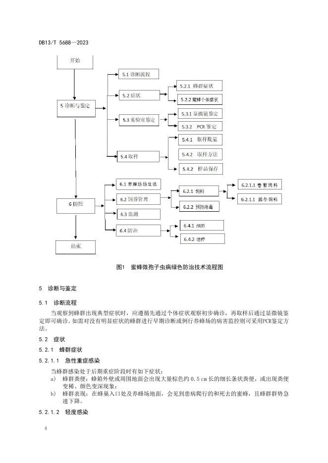 DB13/T 5688-2023 标准预览