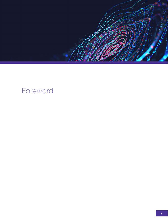 拉丁美洲经济委员会：2025年拉丁美洲人工智能指数（ILIA）报告-执行摘要（英文版）_第7页