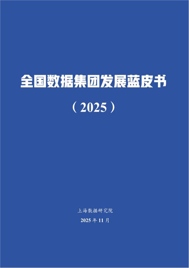 上海数据研究院：全国数据集团发展蓝皮书（2025）