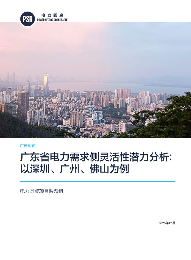 自然资源保护协会：2025年广东省电力需求侧灵活性潜力分析报告：以深圳、广州、佛山为例