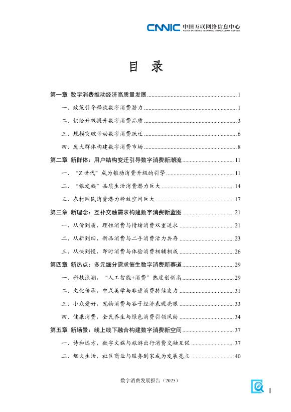 CNNIC中国互联网络信息中心：数字消费发展报告（2025）_第7页