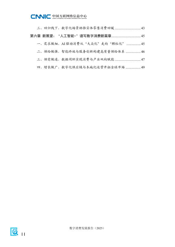 CNNIC中国互联网络信息中心：数字消费发展报告（2025）_第8页