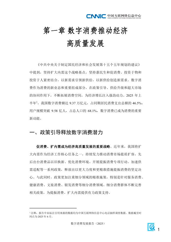 CNNIC中国互联网络信息中心：数字消费发展报告（2025）_第9页