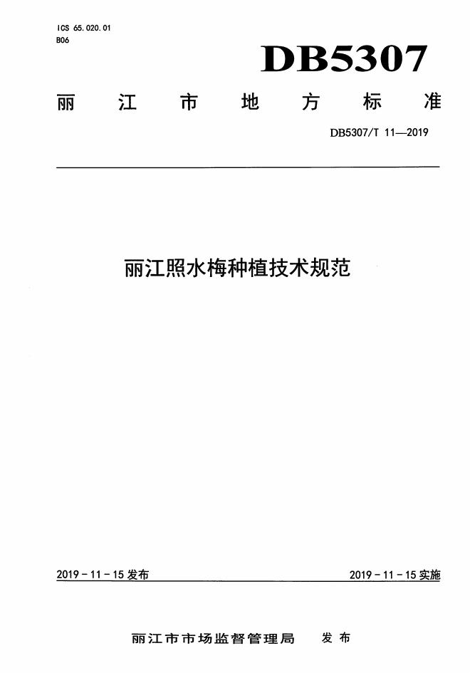 DB5307/T 11-2019 标准预览
