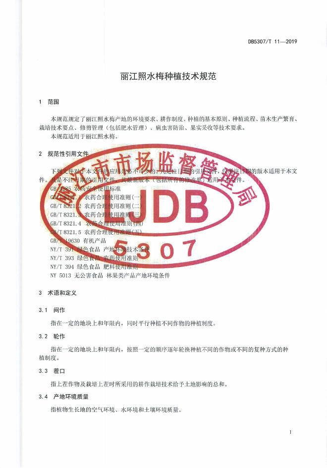 DB5307/T 11-2019 标准预览