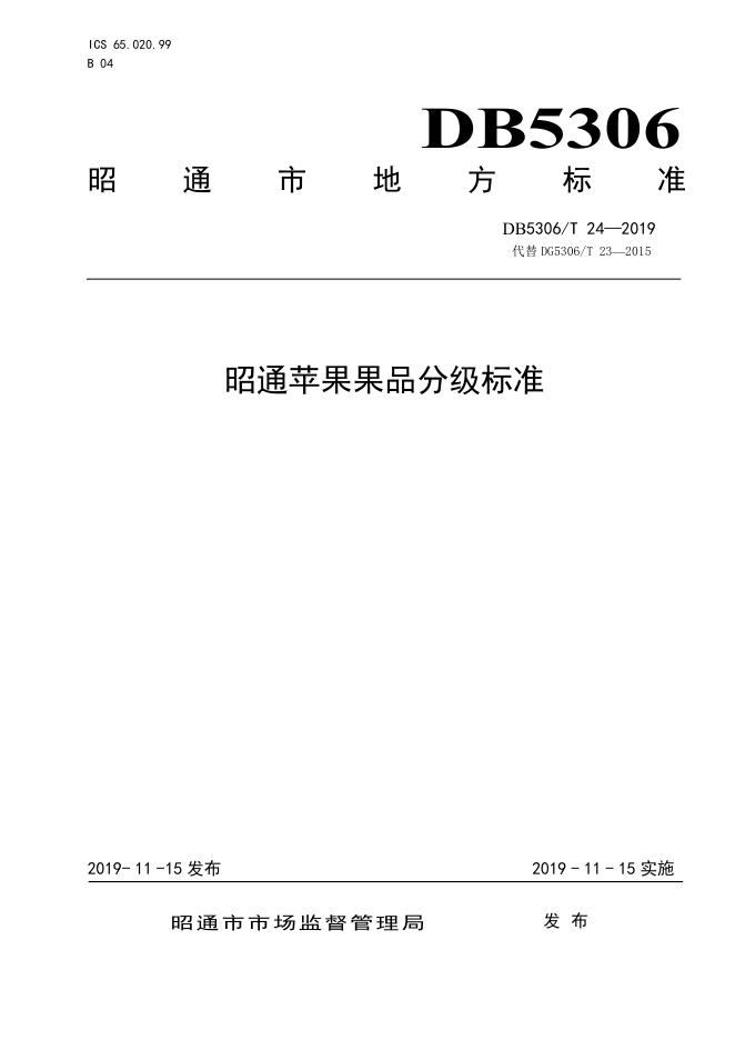 DB5306/T 24-2019 标准预览
