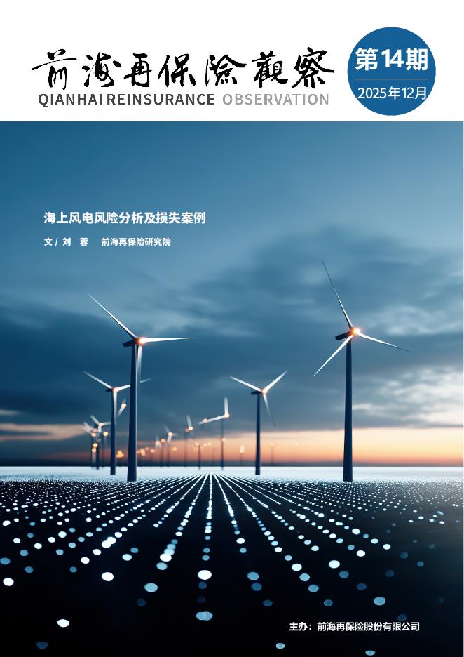 前海再保险：2025年海上风电风险分析及损失案例的研究报告