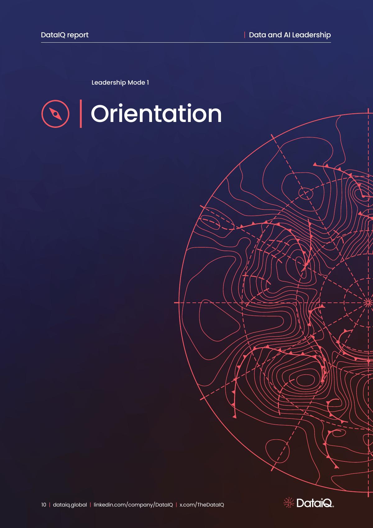 DataIQ：2025年数据与人工智能领导力：行进中的压力测试报告（英文版）_第10页