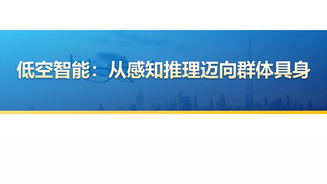 低空智能：从感知推理迈向群体具身