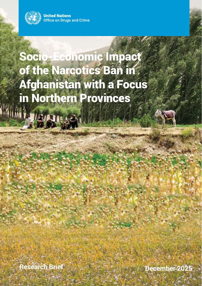 UNODC：2025年阿富汗毒品禁令的社会经济影响报告-重点关注北部省份（英文版）