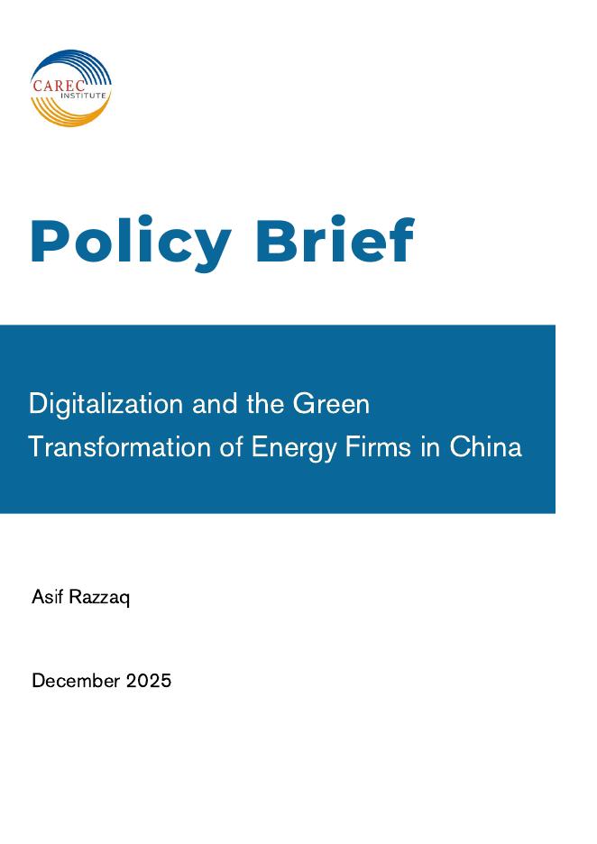 中亚学院：2025年中国能源部门数字化和绿色转型政策简报（英文版）