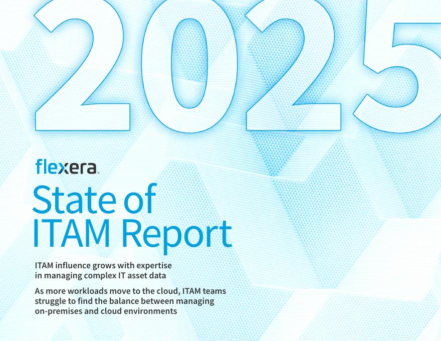 Flexera：2025年全球IT资产管理（ITAM）状况报告（英文版）