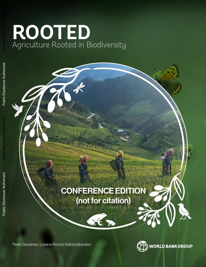 世界银行：2025年扎根：农业植根于生物多样性报告（英文版）